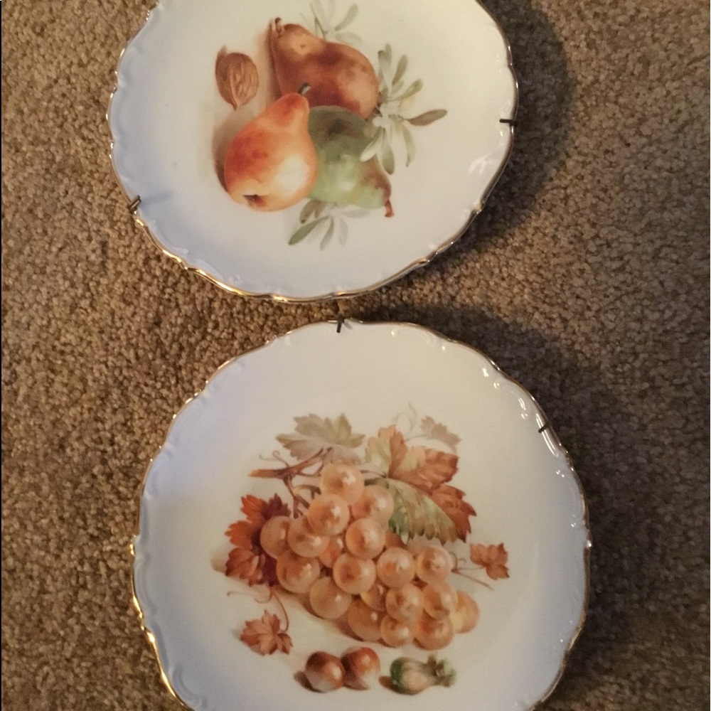 Vintage Bavarian China Fall Fruit Plates